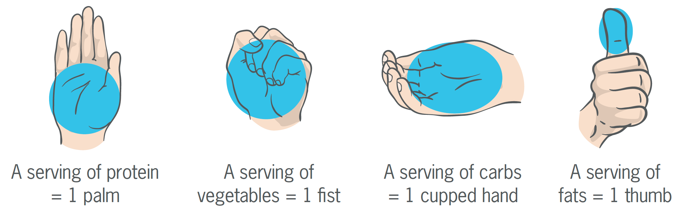 A Different Way to Think About Nutrition, part two: Protein 1 image credit: Precision Nutrition